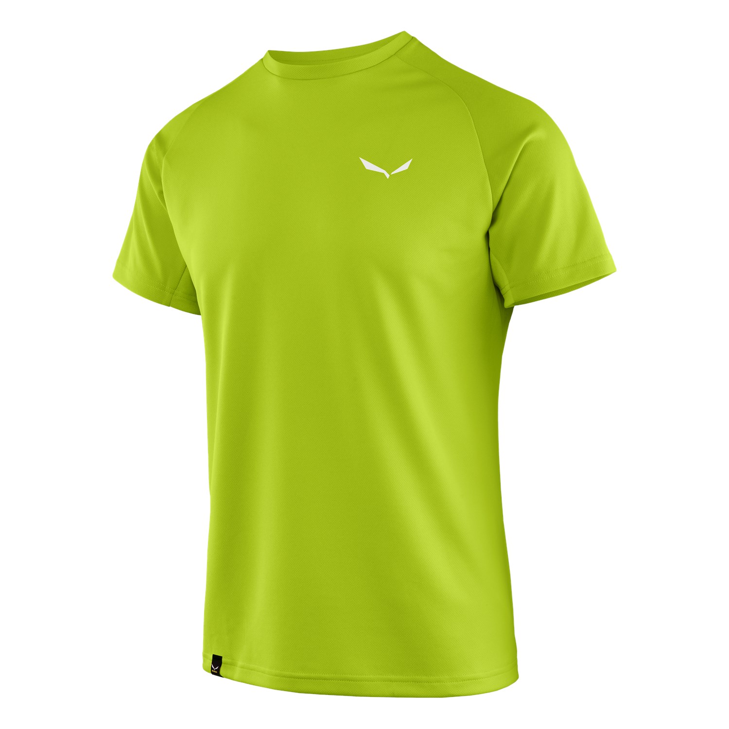 T-Shirts Salewa Sporty B 3 Dry Homem Verdes 103LFPYDO